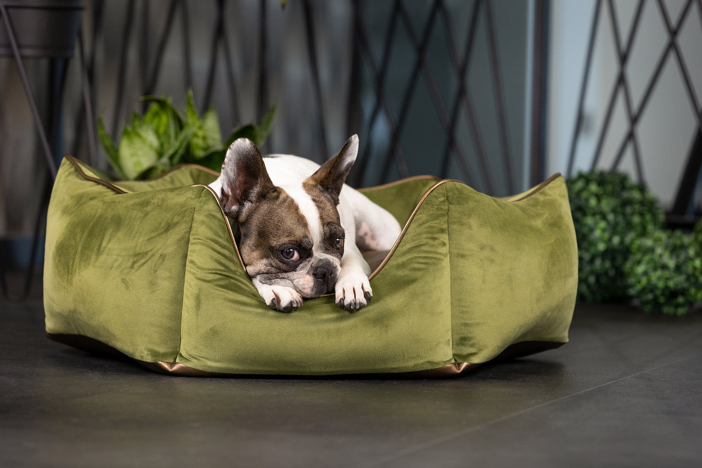 Hundebett Krone grün/ metallic braun