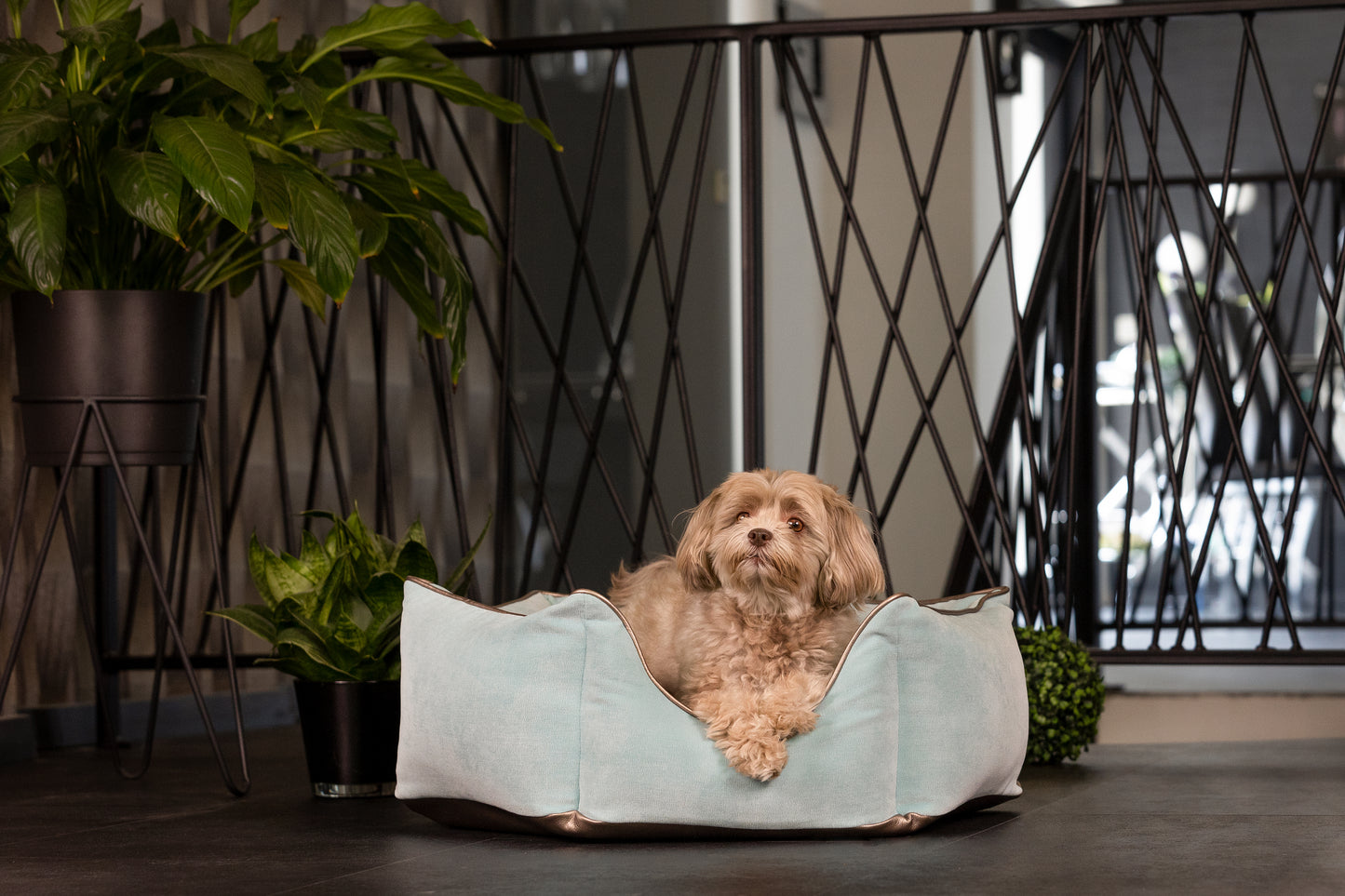 Hundebett Krone hellblau/ metallic beige