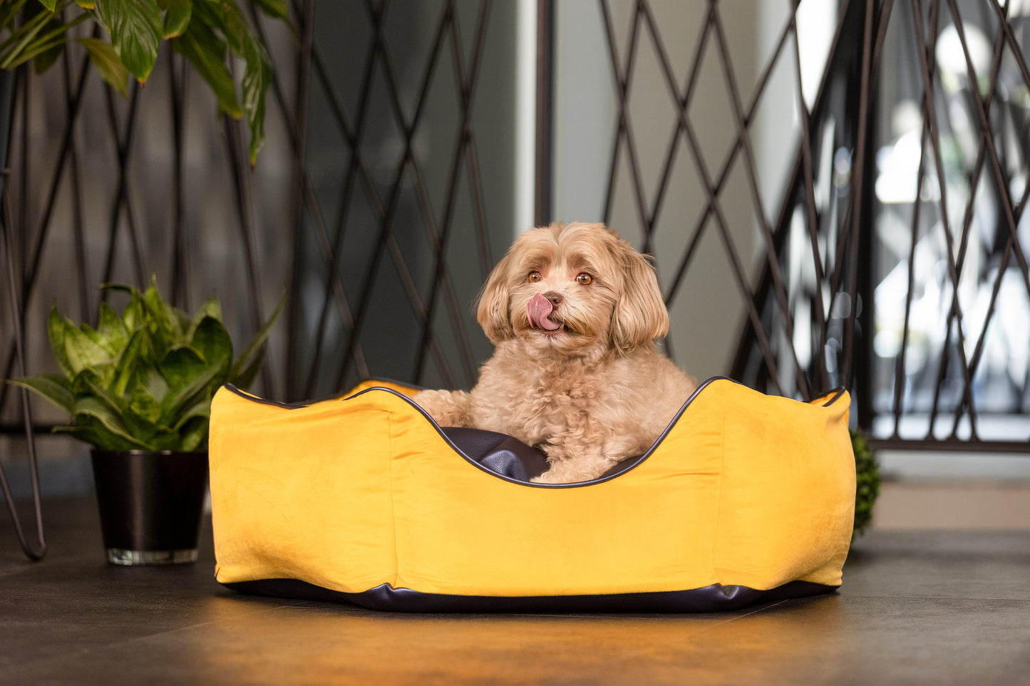 Hundebett Krone gelb/ metallic blau