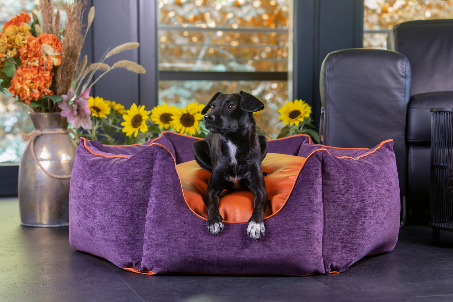 Hundebett Krone lila/ metallic orange