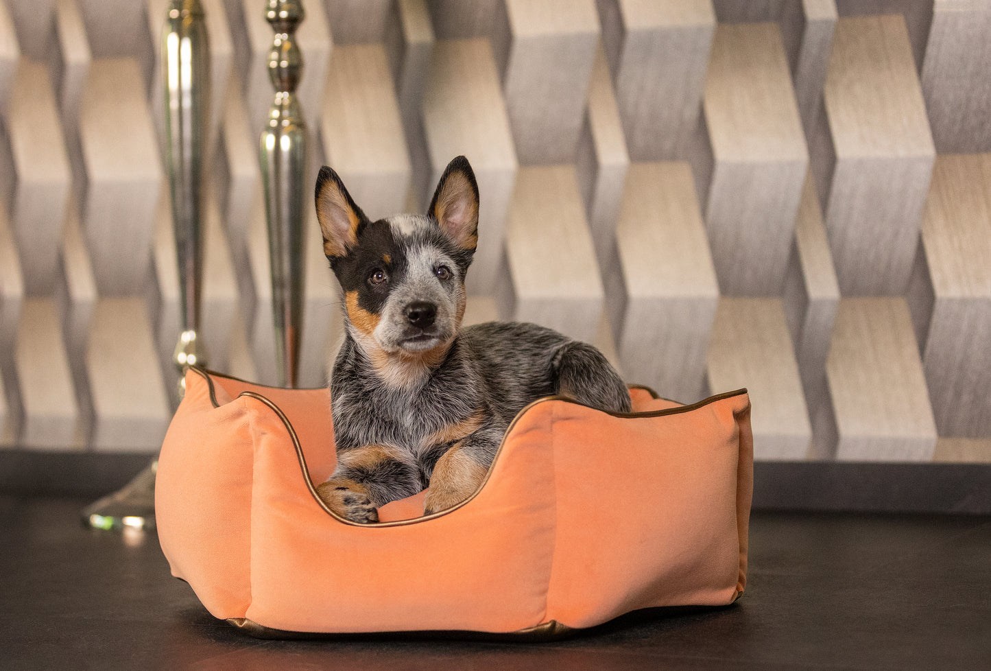 Hundebett Krone apricot/ metallic braun