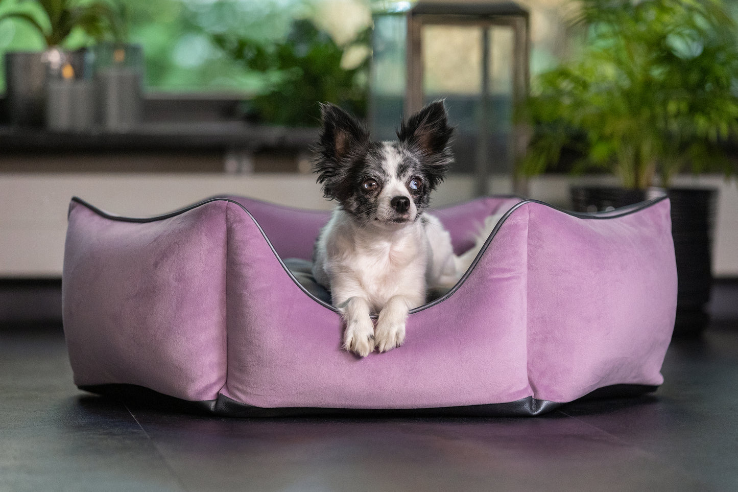 Hundebett Krone flieder/ metallic anthrazit