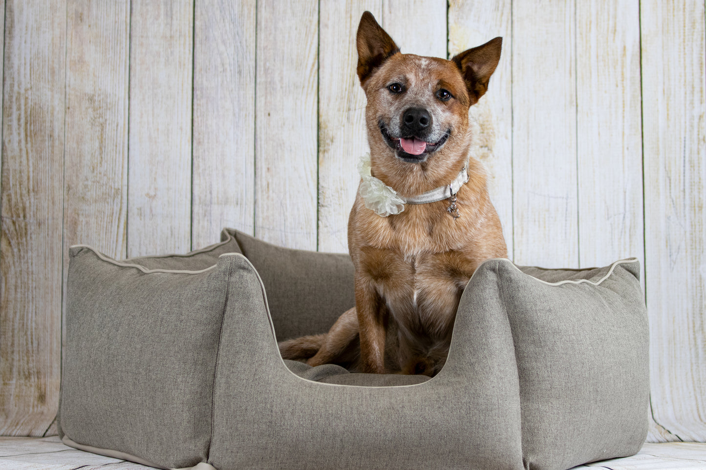 Hundebett Krone taupe/ matt sable