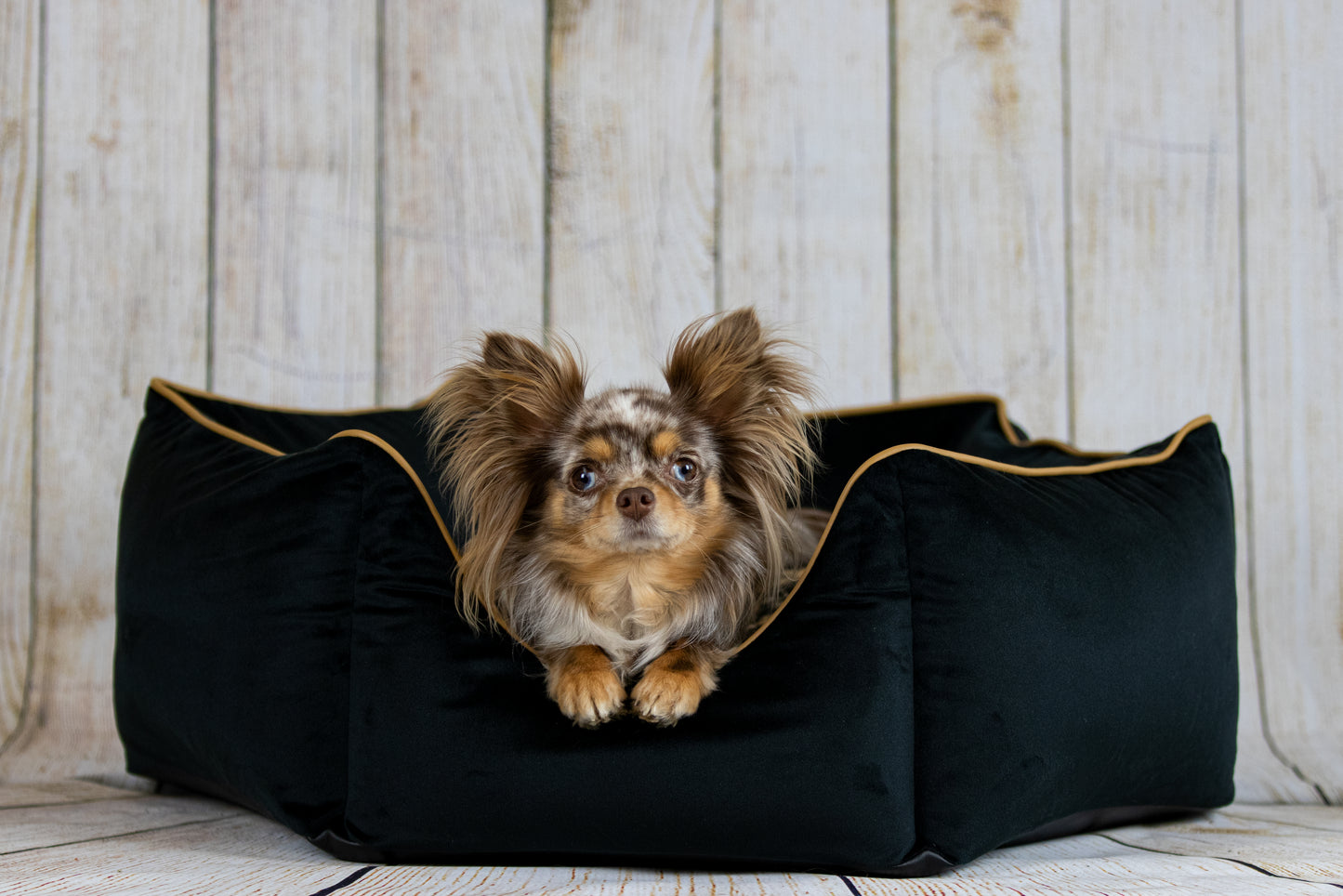 Hundebett Krone Teddy