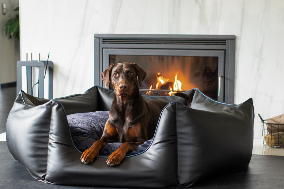 Hundebett Krone Black&Blue – Queenie Design